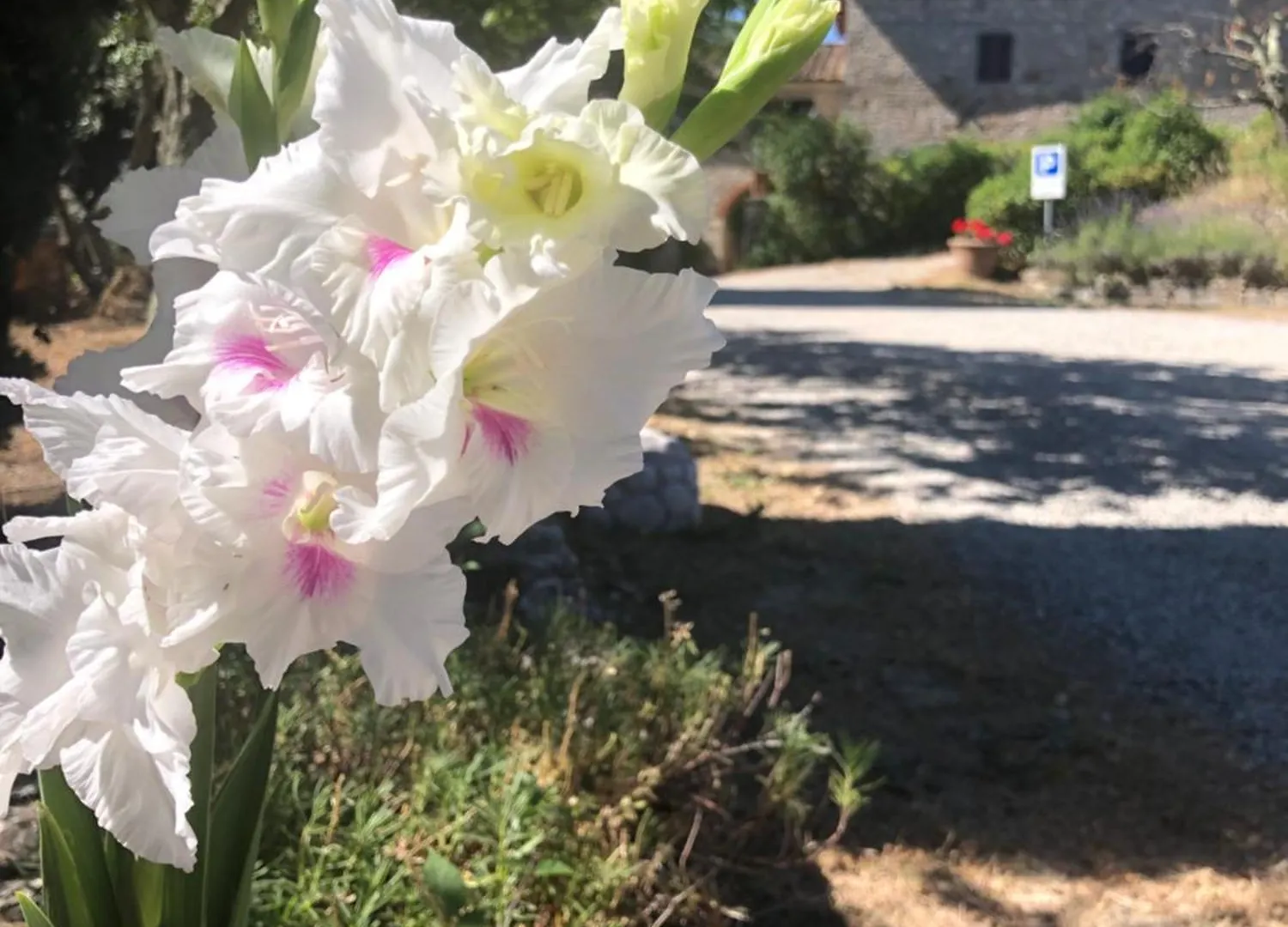 Agriturismo Malpensata Radda in Chianti